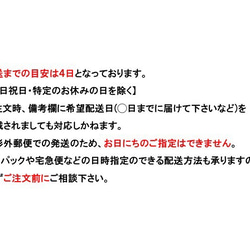 スクエアストーンのミニビジューピアス 5枚目の画像