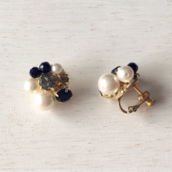 秋冬限定 ✧ Mix stone *Black / Pierce, Earrings 2枚目の画像