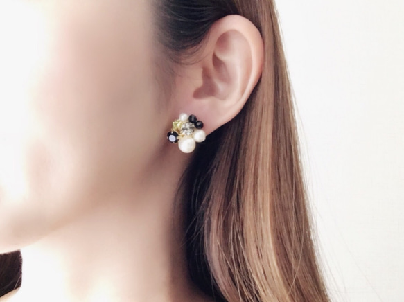 秋冬限定 ✧ Mix stone *Black / Pierce, Earrings 3枚目の画像