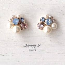 春夏数量限定 Mix stone *P×B / Earrings 2枚目の画像