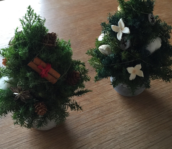 ヒムロスギのクリスマスツリー20センチ 各色ラスト1つ！ 4枚目の画像