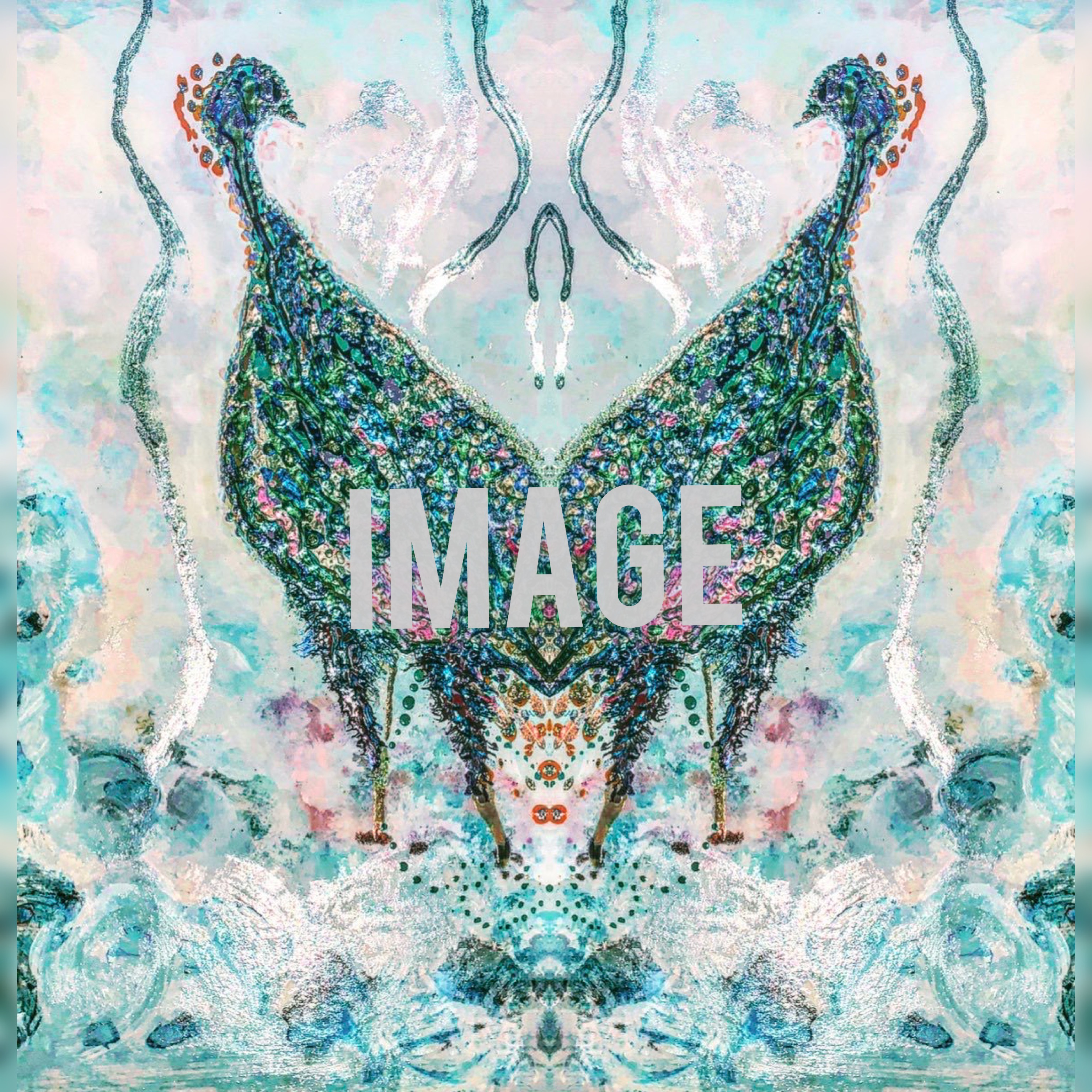 孔雀 peacocks ファブリックボード