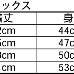 うちの庭で採れたヤツデで染めたｵｰｶﾞﾆｯｸｺｯﾄﾝT 3枚目の画像