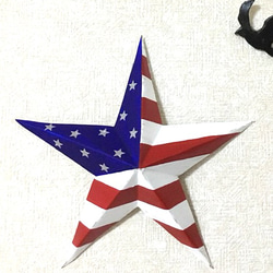 25㎝ アルミで出来たティンバーンスター 星条旗 ロンハーマン 西海岸 wtw 風 1枚目の画像