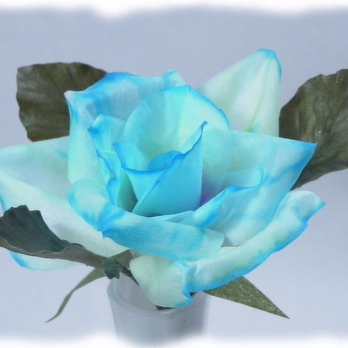 造花　バラ　100本　ブルー imgrc0069834400.jpg