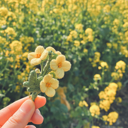 【ブローチ】Nanohana～菜の花～ 5枚目の画像