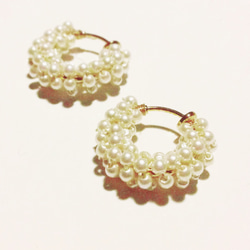 とも様専用ページ　gyugyu earring 1枚目の画像