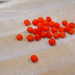 コーラル（珊瑚）ソロバンカット　オレンジ　約2-4ミリ　15グラム（約40～50個） 2枚目の画像