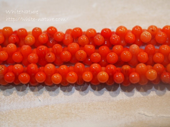 コーラル（珊瑚）gourd*オレンジ　約6.5×3.5ミリ　50粒 1枚目の画像