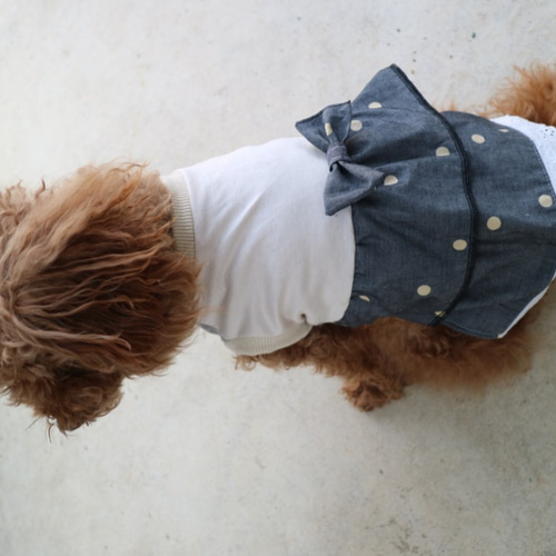 ドット/ベージュ　クリオネワンピ　フレブル服　ハンドメイド M 犬服 ドット ナチュラル レース リボン 切替 ワンピース トイ