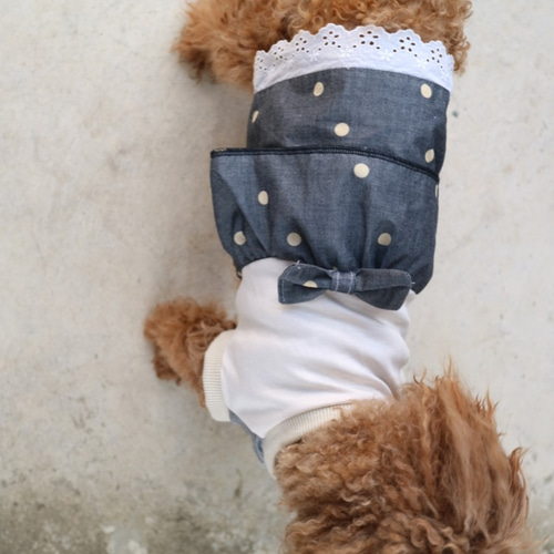 M 犬服 ドット ナチュラル レース リボン 切替 ワンピース トイ