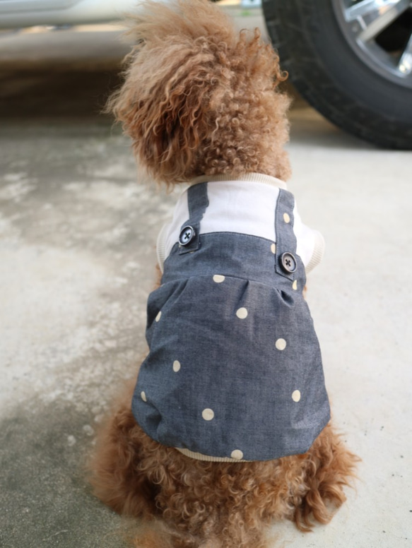s 犬服 ドット サロペット 重ね着風 切替 バルーン シャツ 犬 チワワ