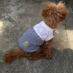 犬服　Bサイズ     レース  切替 花 刺繍 ギンガムチェック ブルー　犬　服　ビーグル 中型犬 1枚目の画像