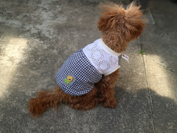 犬服　Bサイズ     レース  切替 花 刺繍 ギンガムチェック ブルー　犬　服　ビーグル 中型犬 1枚目の画像