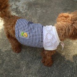 犬服　Bサイズ     レース  切替 花 刺繍 ギンガムチェック ブルー　犬　服　ビーグル 中型犬 2枚目の画像