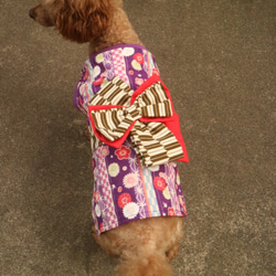 紫（パープル） ペット服・アクセサリー のおすすめ人気通販｜Creema