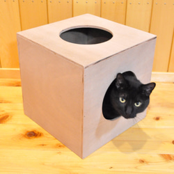 木製　キャットハウス　「CUBE」　【受注生産品】 1枚目の画像