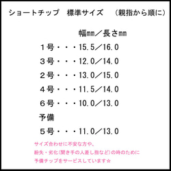 【送料無料】サンプルチップとサイズ参考 2枚目の画像