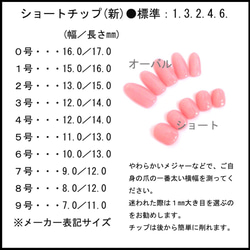 【送料無料】サンプルチップとサイズ参考 4枚目の画像