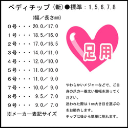 【送料無料】サンプルチップとサイズ参考 7枚目の画像