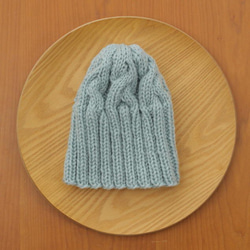 リブ編み多めの、アラン模様のニット帽（ニホンドリ／M・57） 1枚目の画像