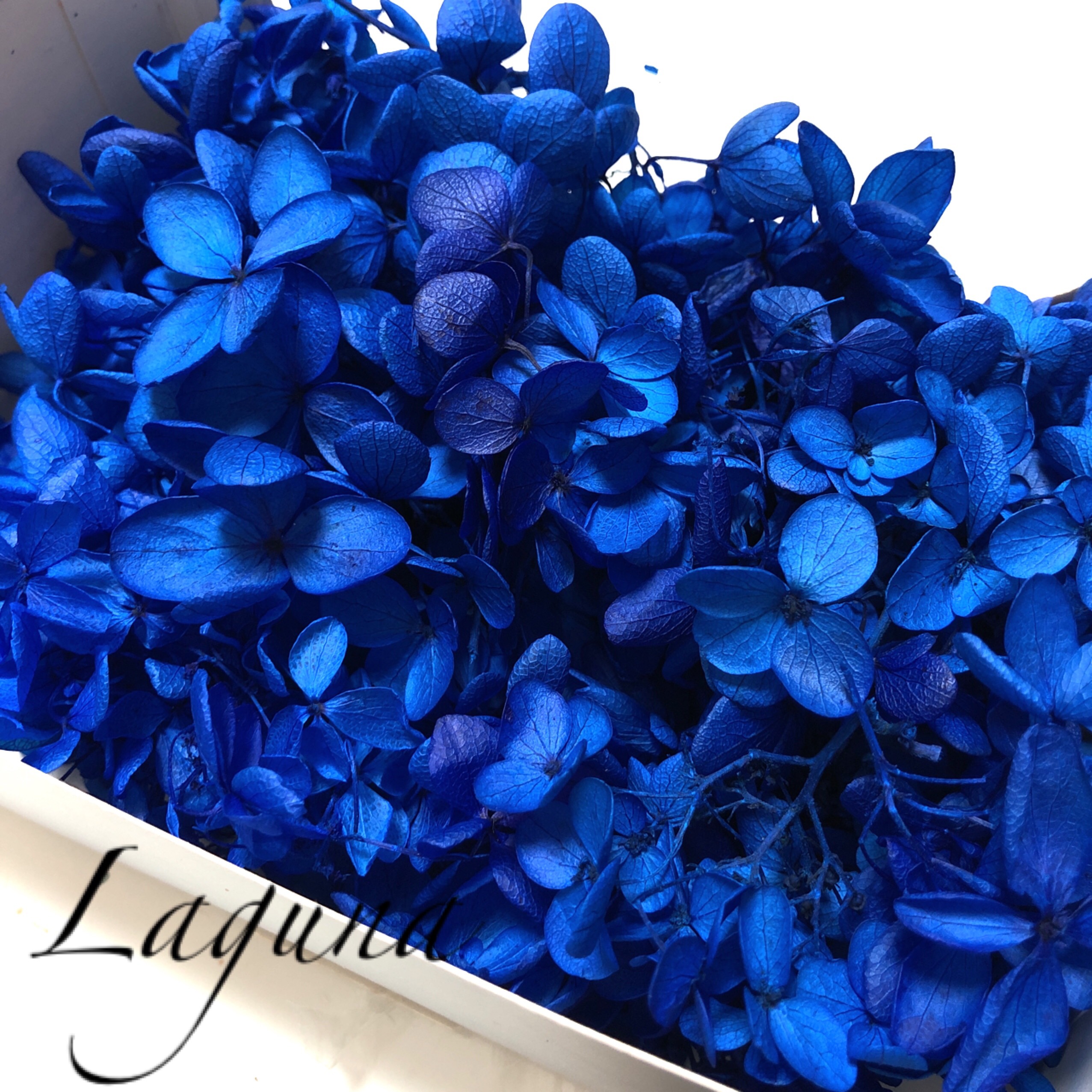 花材セット61点 ハーバリウム ソフトアジサイ 花材セット61点 ハー