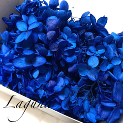 ソフトピラミッドあじさい・ブルー】ハーバリウム 花材 その他素材