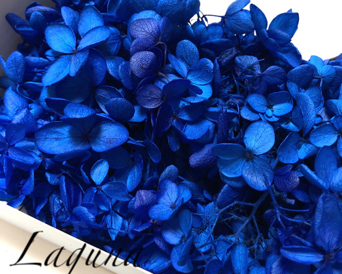 ソフトピラミッドあじさい・ブルー】ハーバリウム 花材 その他素材