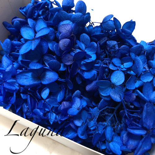 ソフトピラミッドあじさい・ブルー】ハーバリウム 花材 その他素材