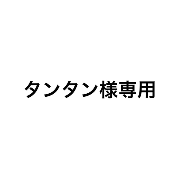 タンタン様専用 1枚目の画像