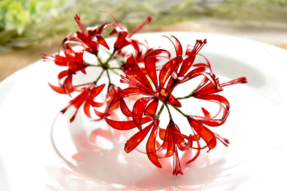 受注制作【植物標本 XXL】彼岸花 Red spider lilly 3枚目の画像