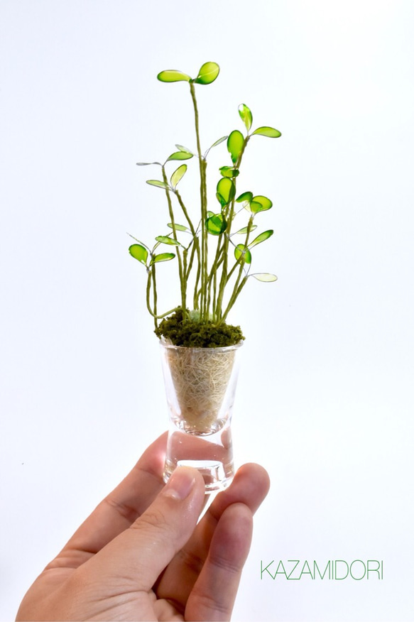 【創作植物】透明斑スプラウト　ショットグラス 2枚目の画像