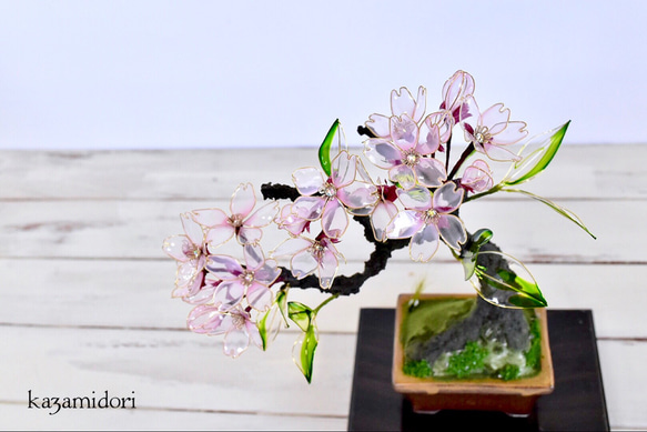 【創作盆栽】桜（さくら）試作A 1枚目の画像
