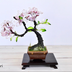 【創作盆栽】桜（さくら）試作A 3枚目の画像