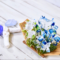 【小盆】紫陽花（あじさい）ブルー 5枚目の画像