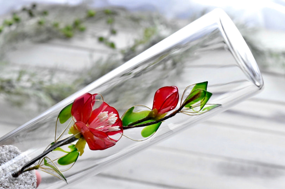 受注制作【植物標本 S】赤椿(あかつばき) Camellia -Red- 1枚目の画像