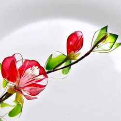 受注制作【植物標本 S】赤椿(あかつばき) Camellia -Red- 3枚目の画像