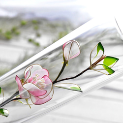 受注制作【植物標本 S】白桃椿(しろつばき) Camellia -Whitepink- 1枚目の画像