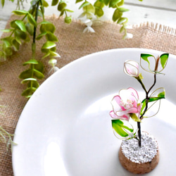 受注制作【植物標本 S】白桃椿(しろつばき) Camellia -Whitepink- 2枚目の画像