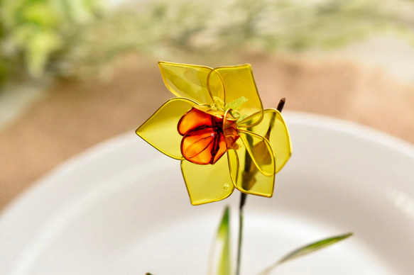 受注制作【植物標本 S】黄水仙(すいせん) Narcissus 6枚目の画像