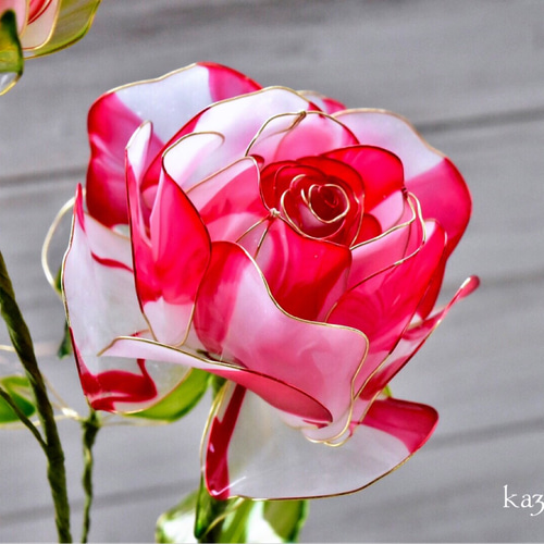 ○chen 様ご予約品○【一輪鉢】薔薇（ばら）絞り模様 アート