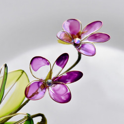受注制作【植物標本 S】菫(すみれ) Violet 紫 6枚目の画像