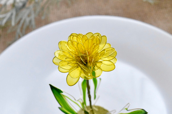 受注制作【植物標本 M】蒲公英(たんぽぽ) Dandelion 5枚目の画像