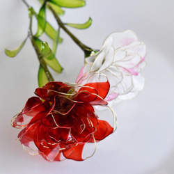 受注制作【植物標本 L】カーネーション -Marble pink- 6枚目の画像