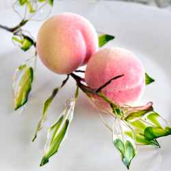 【植物標本 M】小桃 Small peach 2枚目の画像