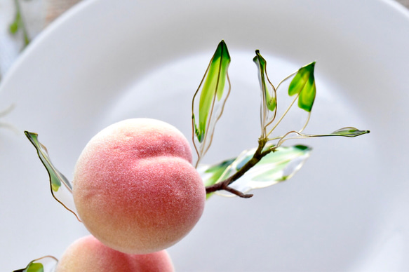【植物標本 M】小桃 Small peach 3枚目の画像