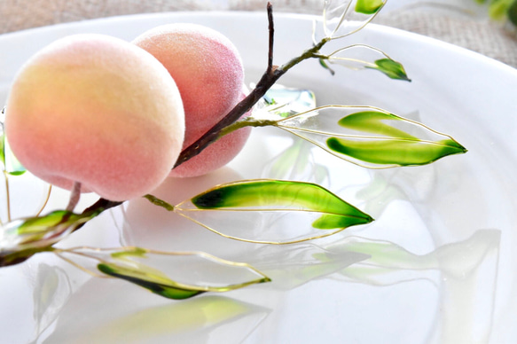 【植物標本 M】小桃 Small peach 4枚目の画像