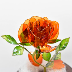 受注制作【グラスドーム】薔薇（ばら） -Apricot- 5枚目の画像