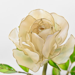 受注制作【グラスドーム】薔薇（ばら） -Pearl white- 4枚目の画像