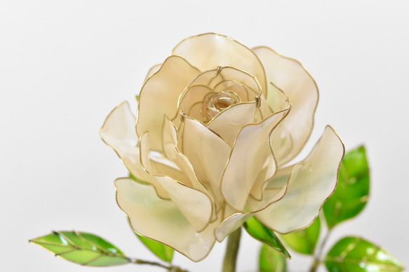 受注制作【グラスドーム】薔薇（ばら） -Pearl white- 4枚目の画像